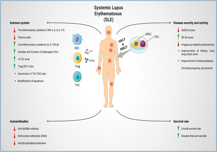 圖1：SLE患者的疾病發(fā)病機制、嚴(yán)重程度和活動性。