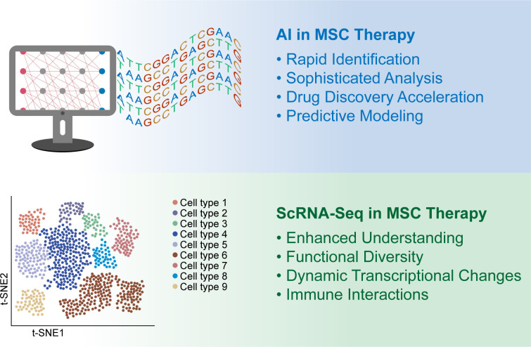 圖1：人工智能 (AI) 和單細胞RNA測序 (scRNA-seq) 用于增強間充質干細胞 (MSC) 的臨床應用。