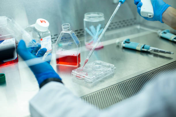 什么是再生醫學技術:如何開啟治療和康復的未來 什么是再生醫學技術:如何開啟治療和康復的未來