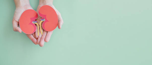 慢性腎病治療，你了解這6種方法嗎？