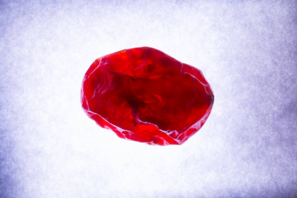 什么是血腦屏障?間充質(zhì)干細(xì)胞是否具備穿過血腦屏障的能力? 什么是血腦屏障?間充質(zhì)干細(xì)胞是否具備穿過血腦屏障的能力?