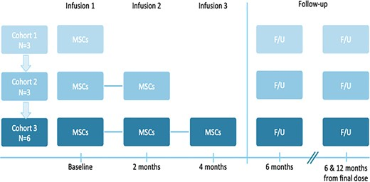 本研究是一項I期開放標簽劑量遞增試驗，研究對象為患有ASD的幼兒，靜脈輸注一次、兩次或三次hCT-MSC