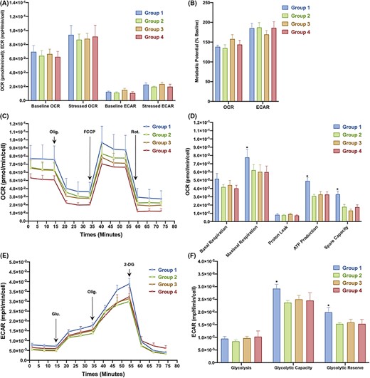 圖3：從對照組和2型糖尿病 (T2DM) 患者中分離的骨髓間充質干細胞 (BM-MSC) 的代謝概況。