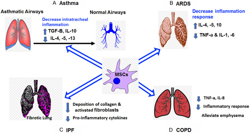 圖1:MSCs在主要肺部疾病和病癥中的主要功能總結。 圖1:MSCs在主要肺部疾病和病癥中的主要功能總結。