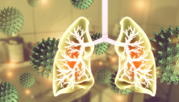 間充質干細胞在治療肺部疾病中進展;從研究到臨床 間充質干細胞在治療肺部疾病中進展;從研究到臨床