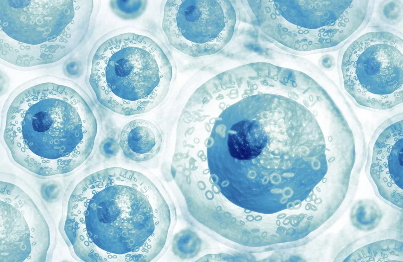 又增加一項(xiàng)!2024年中國已有13部干細(xì)胞治療相關(guān)專家共識! 又增加一項(xiàng)!2024年中國已有13部干細(xì)胞治療相關(guān)專家共識!