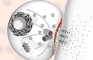 優(yōu)于傳統(tǒng)療法 優(yōu)于傳統(tǒng)療法