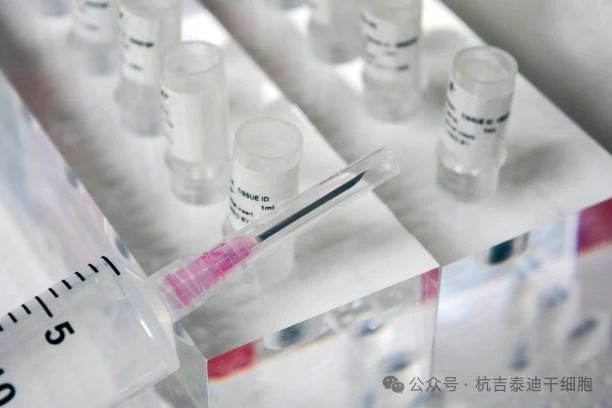 優(yōu)化間充質干細胞移植的給藥途徑和常用劑量：現(xiàn)狀和新前沿