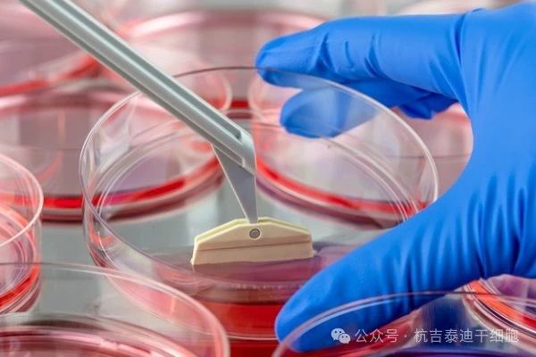 什么是干細(xì)胞療法？