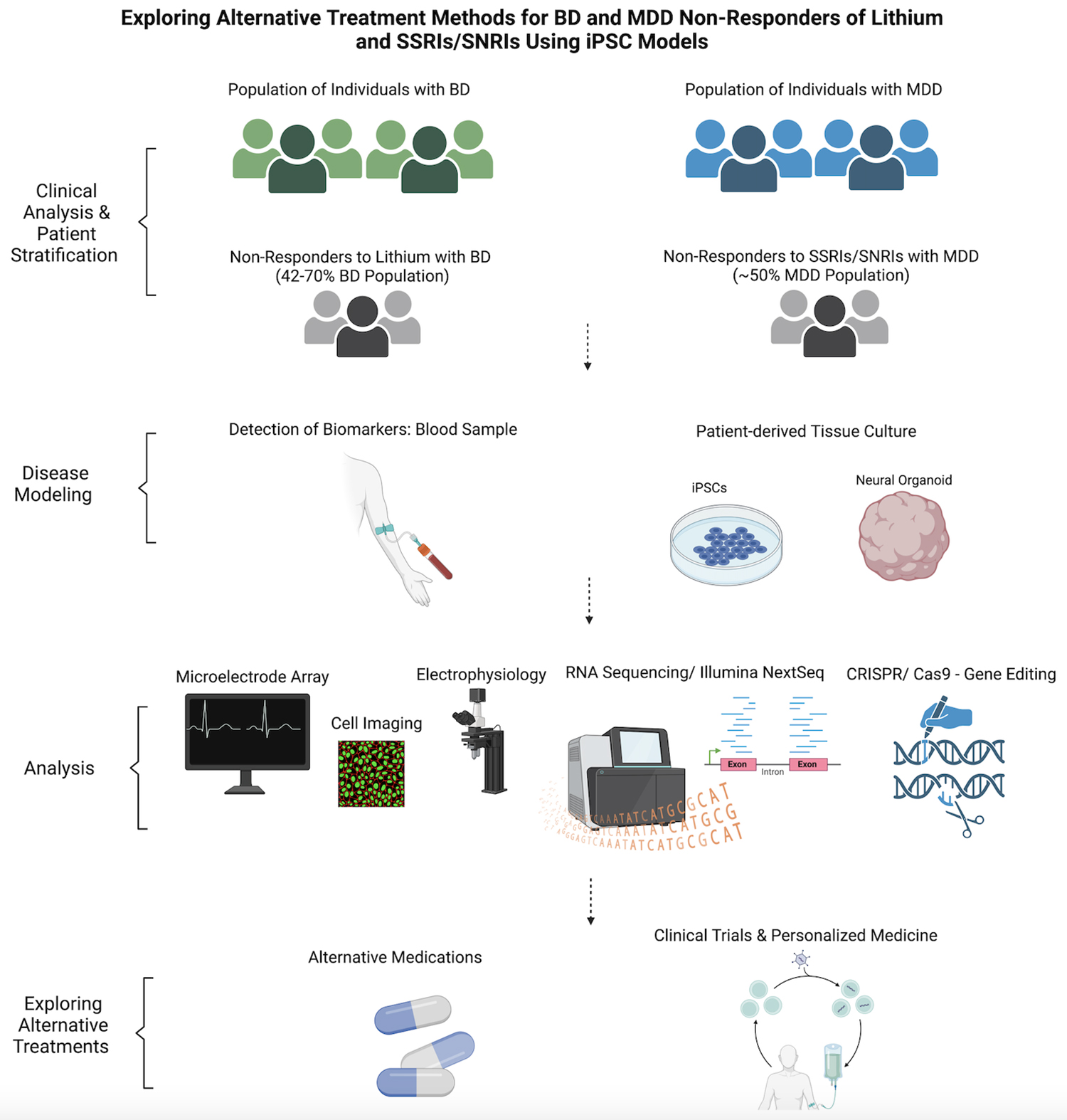 芹菜素更有效地減弱了BD患者iPSC衍生星形膠質(zhì)細胞的炎癥反應(yīng)。 芹菜素更有效地減弱了BD患者iPSC衍生星形膠質(zhì)細胞的炎癥反應(yīng)。