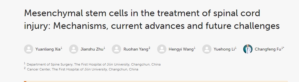 間充質干細胞治療脊髓損傷：機制、當前進展和未來挑戰