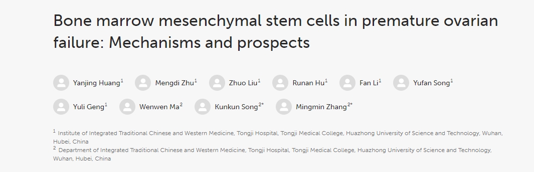 骨髓間充質(zhì)干細(xì)胞在卵巢早衰中的作用:機制與前景 骨髓間充質(zhì)干細(xì)胞在卵巢早衰中的作用:機制與前景