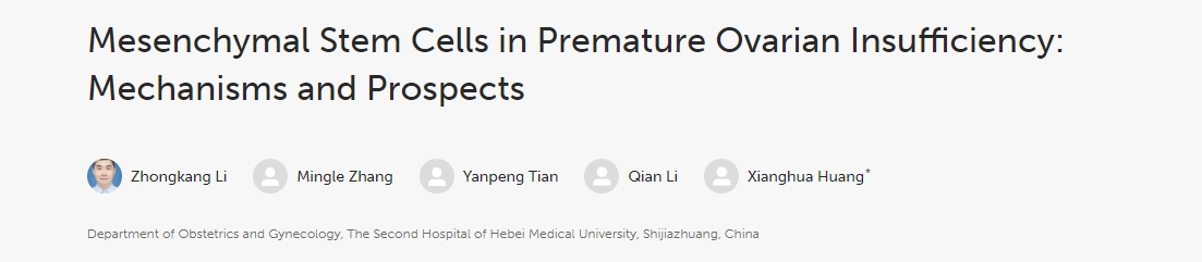 間充質(zhì)干細(xì)胞在卵巢早衰中的作用:機制與前景 間充質(zhì)干細(xì)胞在卵巢早衰中的作用:機制與前景
