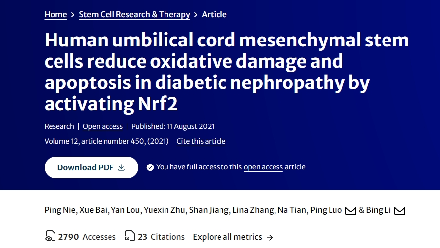 人臍帶間充質干細胞通過激活Nrf2減少糖尿病腎病中的氧化損傷和細胞凋亡