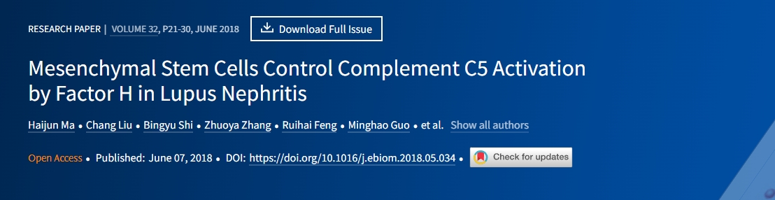 間充質干細胞通過狼瘡性腎炎中的因子H控制補體C5的激活 間充質干細胞通過狼瘡性腎炎中的因子H控制補體C5的激活