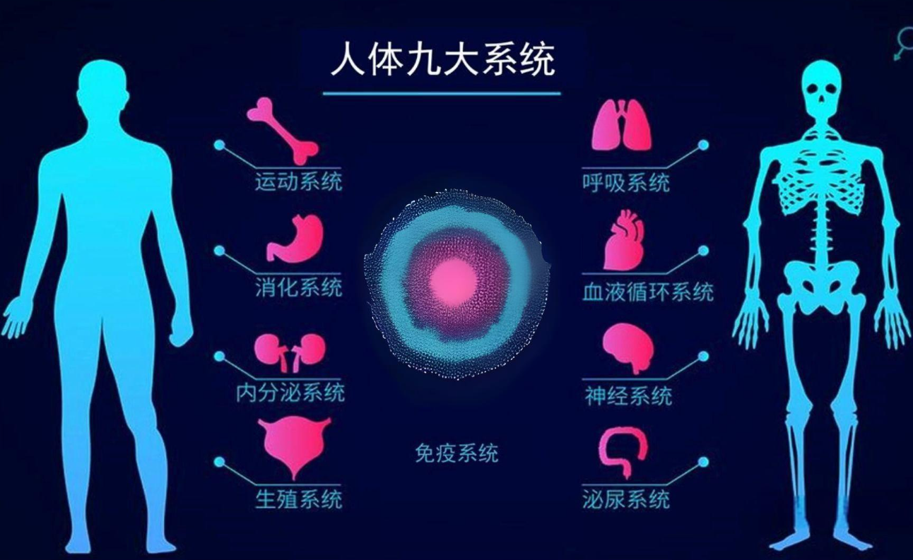 2024干細胞療法前沿:九大系統7200+臨床試驗,攻克200+疾病在即 2024干細胞療法前沿:九大系統7200+臨床試驗,攻克200+疾病在即