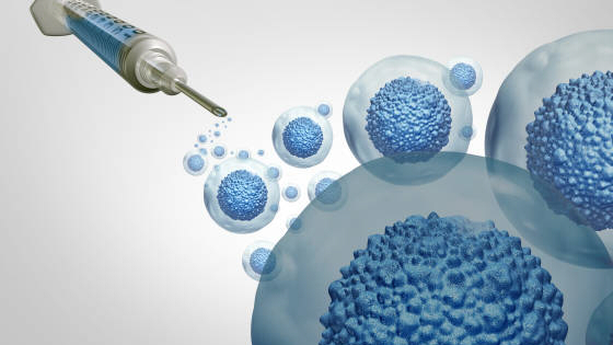 干細(xì)胞治療糖尿病腎病的作用機制