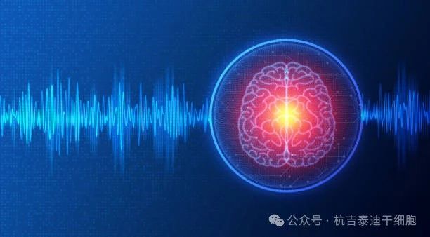 01神經(jīng)系統(tǒng)疾病的簡(jiǎn)介與背景