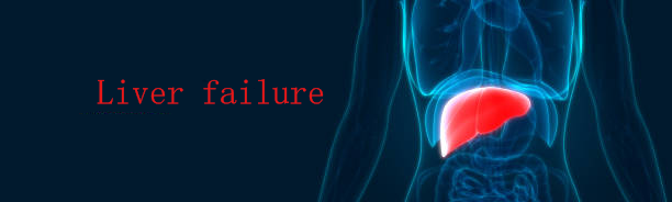 兩大醫院證明：干細胞療法能夠提高肝衰竭患者生存率并且改善肝功能！