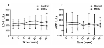 人臍帶間充質(zhì)干細(xì)胞(hUC-MSC)治療對肝硬化失代償期患者肝功能的影響 人臍帶間充質(zhì)干細(xì)胞(hUC-MSC)治療對肝硬化失代償期患者肝功能的影響