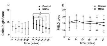 人臍帶間充質(zhì)干細(xì)胞(hUC-MSC)治療對肝硬化失代償期腹水患者腎功能、凝血功能及Child-Pugh和MELD評分的影響 人臍帶間充質(zhì)干細(xì)胞(hUC-MSC)治療對肝硬化失代償期腹水患者腎功能、凝血功能及Child-Pugh和MELD評分的影響