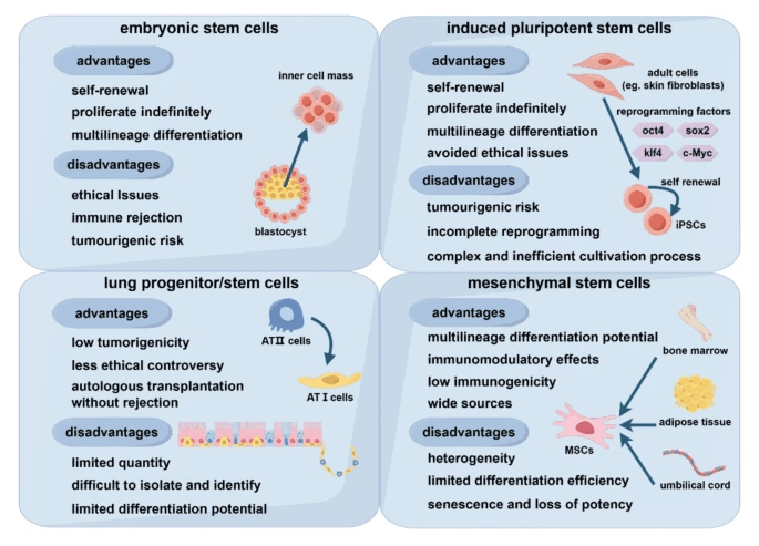 圖2：不同類型干細(xì)胞的優(yōu)點和缺點。