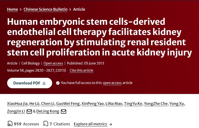 人類胚胎干細(xì)胞衍生的內(nèi)皮細(xì)胞療法通過刺激急性腎損傷中腎臟駐留干細(xì)胞增殖促進(jìn)腎臟再生 人類胚胎干細(xì)胞衍生的內(nèi)皮細(xì)胞療法通過刺激急性腎損傷中腎臟駐留干細(xì)胞增殖促進(jìn)腎臟再生