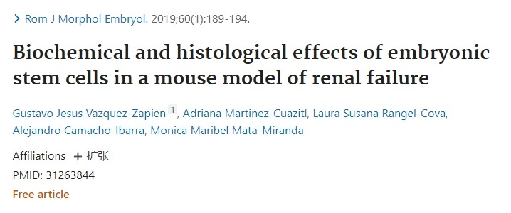胚胎干細(xì)胞在小鼠腎衰竭中的生化和組織學(xué)作用 胚胎干細(xì)胞在小鼠腎衰竭中的生化和組織學(xué)作用