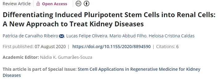 將誘導(dǎo)性多能干細(xì)胞分化為腎細(xì)胞:治療腎臟疾病的新方法 將誘導(dǎo)性多能干細(xì)胞分化為腎細(xì)胞:治療腎臟疾病的新方法