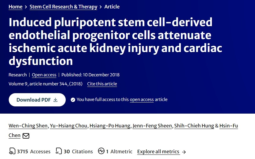誘導(dǎo)性多能干細(xì)胞來源的內(nèi)皮祖細(xì)胞可減輕缺血性急性腎損傷和心臟功能障礙 誘導(dǎo)性多能干細(xì)胞來源的內(nèi)皮祖細(xì)胞可減輕缺血性急性腎損傷和心臟功能障礙