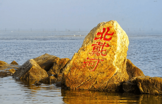 院士領(lǐng)銜，細(xì)胞療法“駛?cè)搿北贝骱樱’燄B(yǎng)勝地開啟醫(yī)療創(chuàng)新新篇章