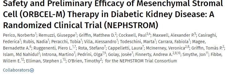 間充質干細胞治療糖尿病腎病的安全性和初步療效 間充質干細胞治療糖尿病腎病的安全性和初步療效
