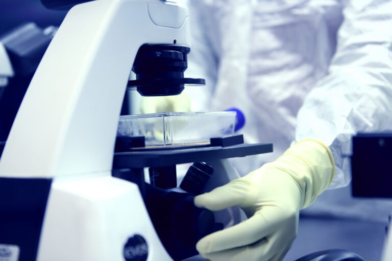 在選擇間充質干細胞治療時,骨髓、脂肪、臍帶哪種更加適合你? 在選擇間充質干細胞治療時,骨髓、脂肪、臍帶哪種更加適合你?