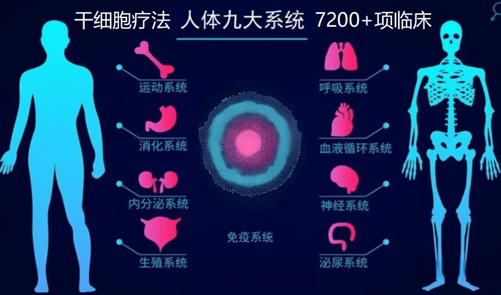 干細(xì)胞療法人體九大系統(tǒng)7200+項(xiàng)臨床 干細(xì)胞療法人體九大系統(tǒng)7200+項(xiàng)臨床