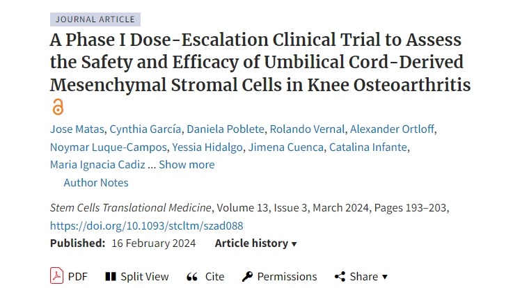 一項I期劑量遞增臨床試驗，評估臍帶間充質基質細胞在膝關節骨關節炎中的安全性和有效性