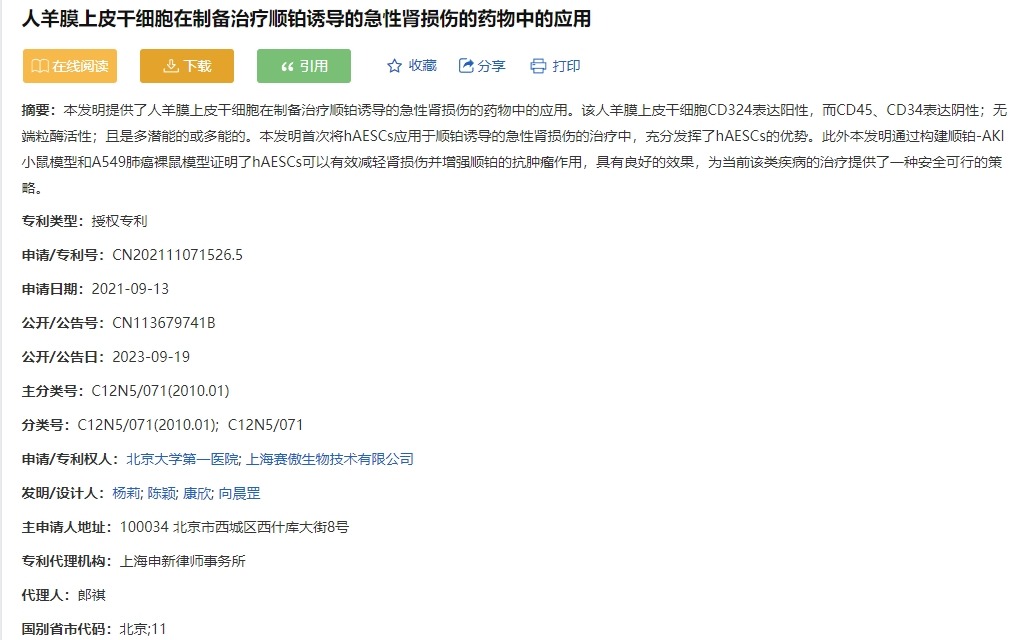 人羊膜上皮干細胞在制備治療順鉑誘導的急性腎損傷的藥物中的應用 人羊膜上皮干細胞在制備治療順鉑誘導的急性腎損傷的藥物中的應用