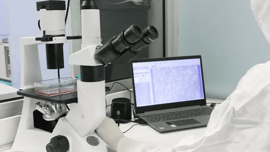 從實驗室到臨床:干細胞機構是如何生產高質量干細胞的?