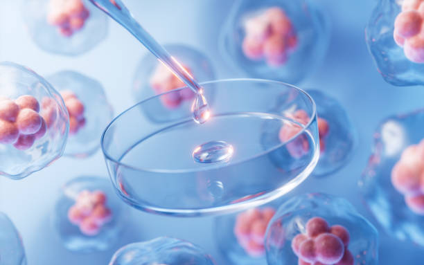 靜脈注射間充質干細胞是安全的嗎？一項包含2504名受試者的研究給出了答案！