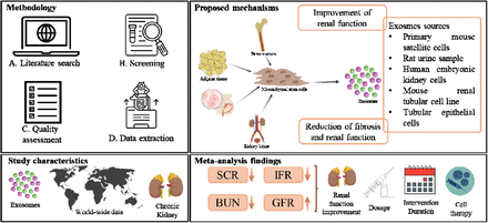 圖1:間充質干細胞外泌體的作用 圖1:間充質干細胞外泌體的作用