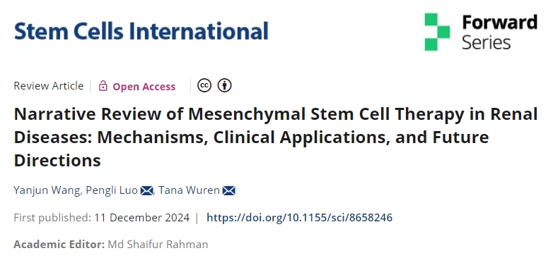 最新綜述：干細(xì)胞治療腎臟疾病的機(jī)制、臨床應(yīng)用和未來(lái)方向