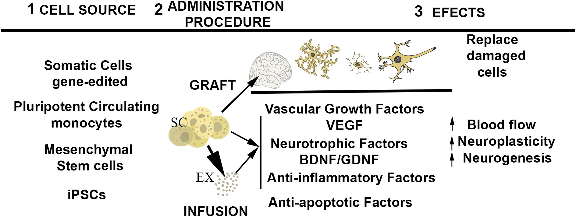 圖1：干細胞治療中心事件的示意圖。