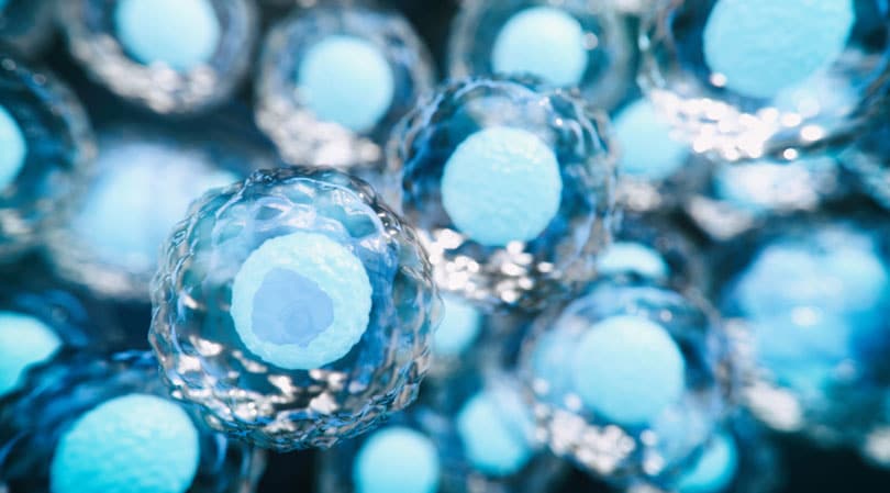 自體干細胞與異體干細胞治療糖尿病有哪些差異? 自體干細胞與異體干細胞治療糖尿病有哪些差異?