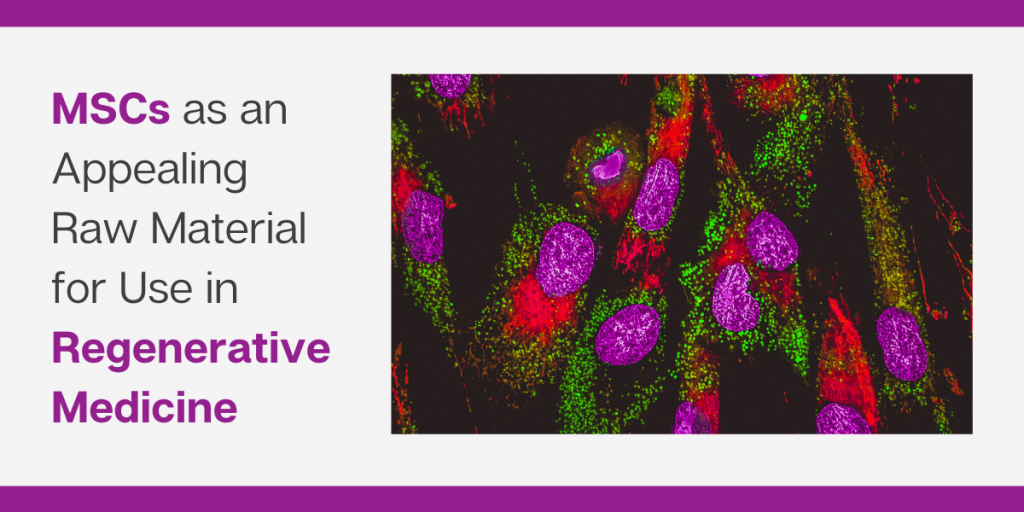 間充質(zhì)干細(xì)胞是再生醫(yī)學(xué)領(lǐng)域極具吸引力的原材料