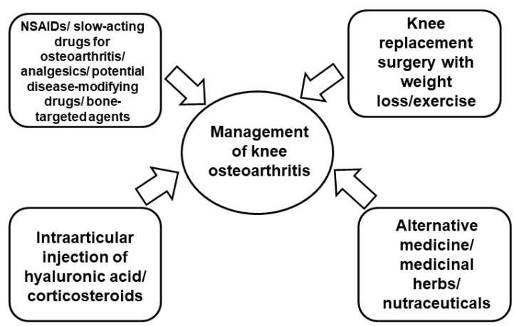 圖2：膝骨關(guān)節(jié)炎的當(dāng)前治療策略。