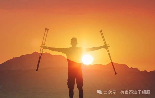 探尋脊髓損傷神經再生之路，神經干細胞移植技術在眾多方法中脫穎而出