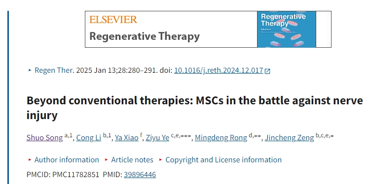 超越傳統(tǒng)療法：間充質(zhì)干細(xì)胞對抗神經(jīng)損傷