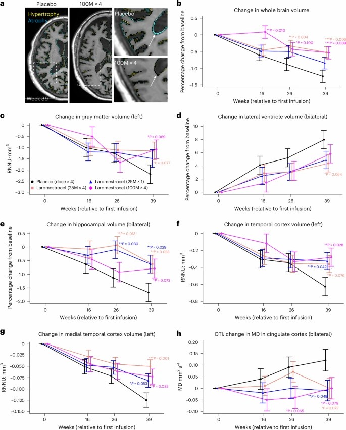 使用 laromestrocel 與使用安慰劑治療的 AD 患者的體積 MRI 評估。