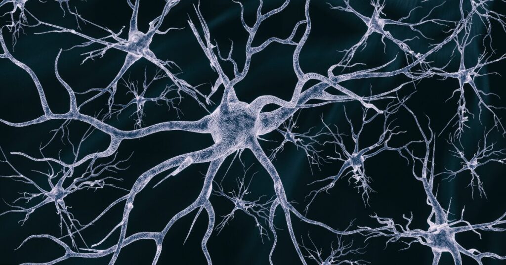 神經(jīng)干細胞移植在神經(jīng)退行性疾病治療和藥物開發(fā)中的作用