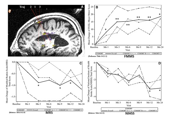 24 個(gè)月隨訪的臨床結(jié)果