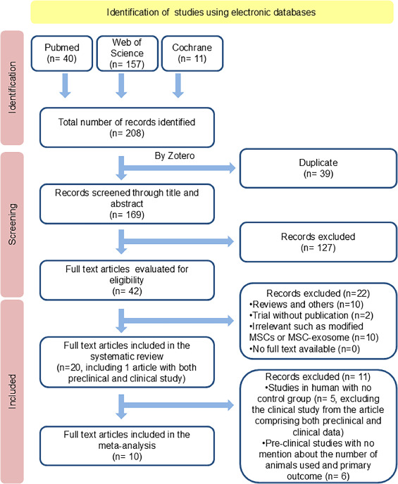 圖1：系統評價和薈萃分析的首選報告項目 (PRISMA) 研究篩選和選擇流程圖。